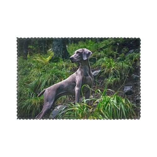 Weimaraner Hunde Haustiere Graue Hunde Hunde, 6er Set Tischsets Waschbar Platzsets für Esstisch Hitzebeständig Tablettmatten 30x45cm von KemEng