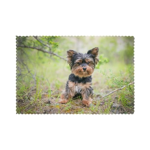 Yorkshire Terrier kleiner Welpe Haustiere Hunde, 6er Set Tischsets Waschbar Platzsets für Esstisch Hitzebeständig Tablettmatten 30x45cm von KemEng