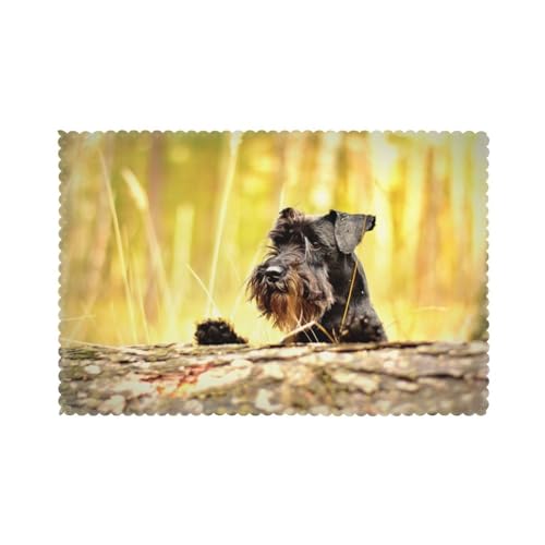 Zwergschnauzer Haustiere Schwarze Hunde, 6er Set Tischsets Waschbar Platzsets für Esstisch Hitzebeständig Tablettmatten 30x45cm von KemEng