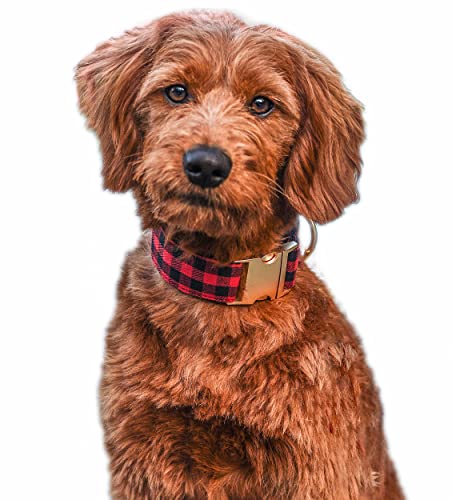 Kendall Wags Hundehalsband, niedlich, breit, mit goldfarbener Metallschnalle für extra große, mittelgroße und junge Hunde – 3,8 cm breit (rotes Karo, groß) von Kendall Wags
