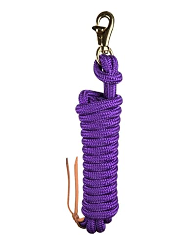 Kensington Ballistic Nylon Kliniker-Trainingsleine – 63,5 cm Trainingsleine – reißfest, mit Metallbeschlägen zur Befestigung der Leine – robuste geflochtene Leine mit Schnelldrehverschluss – Violett von Kensington