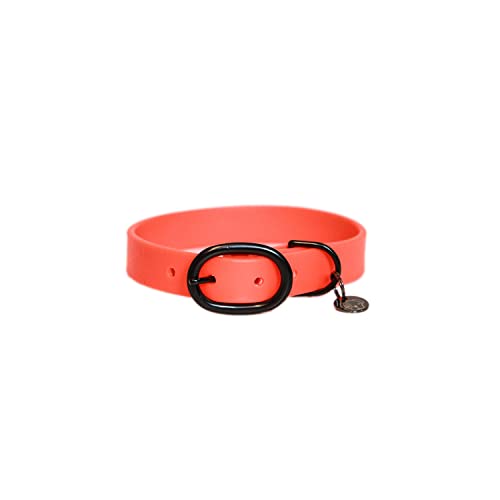 Kentucky Dogwear - Hundehalsband - Weiches Gummi - Neon Orange - Größe XS - 37cm von Kentucky