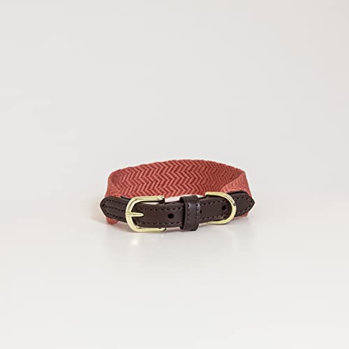 Kentucky Dogwear - Jacquard Hundehalsband - Terrakotta - Größe XS - 37cm von Kentucky