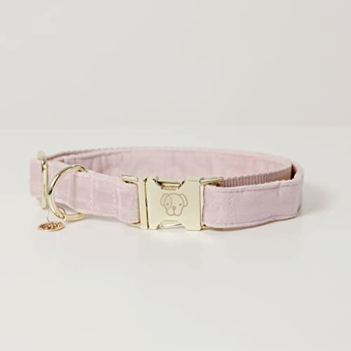 Kentucky Hundehalsband Velvet - Rosa - XS von Kentucky