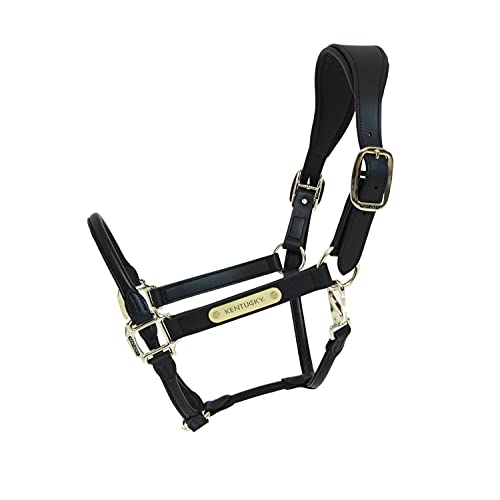 Kentucky Horsewear - Halfter - Anatomisches Leder - Schwarz - Cob von Kentucky