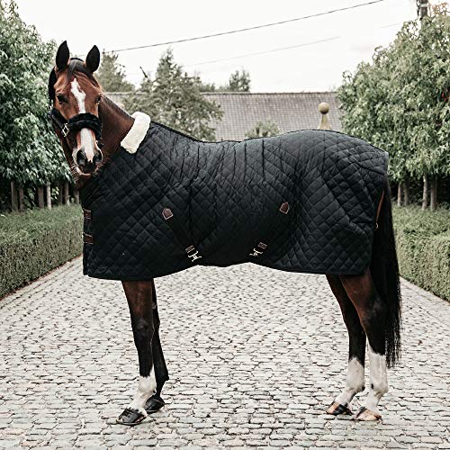 Kentucky - Stalldecke - 600D - 160 cm - Vegane Wolle - Schwarz von Kentucky