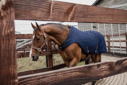 Kentucky Walker Rug Führanlagendecke 160 g Größe: 155 Farbe: Navy von Kentucky Horsewear