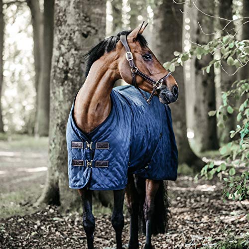 KENTUCKY HORSEWEAR Pferdecke aus hochfestem Polyesterstoff – Stalldecke mit abnehmbaren Bauchgurten, Geeignet als Winterdecke für optimale Wärme oder Turnierdecke & Transportdecke von Kentucky