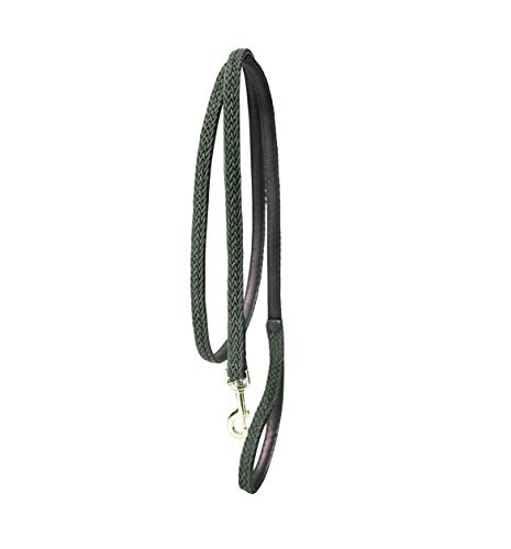 Kentucky Dogwear - Hundeleine - Geflochtenes Nylon - Olivgrün - 120cm von Kentucky