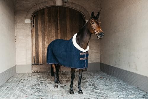 Kentucky - Abschwitzdecke Fleece Show 'Heavy' Marine 100-5'0 von Kentucky