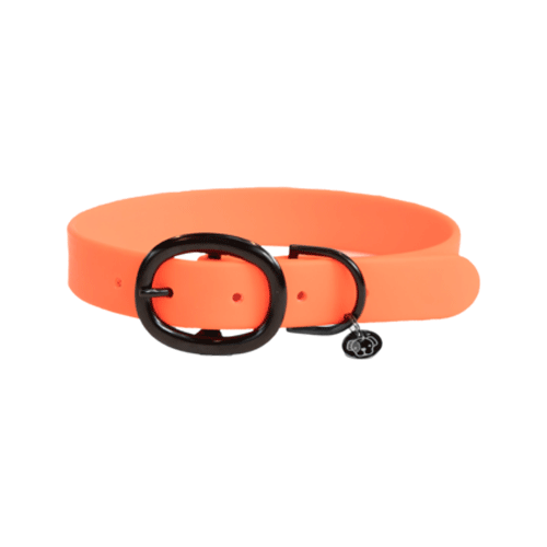 Kentucky Dogwear Halsband Soft Rubber - L - Neon Orange von Kentucky