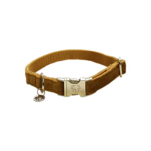 Kentucky Dogwear - Hundehalsband - Samt - Senf XL - 45-75cm von Kentucky