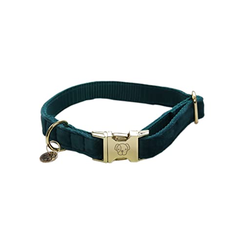 Kentucky Dogwear - Hundehalsband - Samt - Smaragdgrün - L - 42-68cm von Kentucky