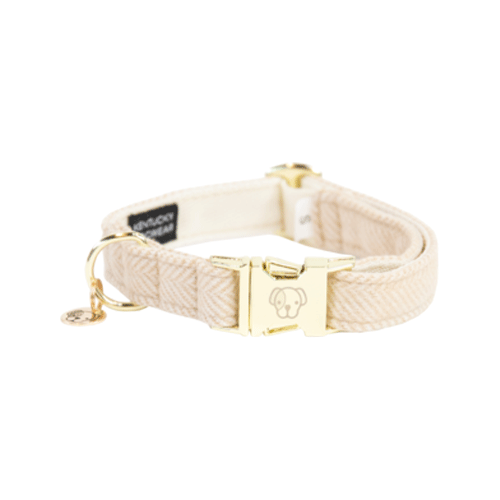 Kentucky Dogwear Hundehalsband - Wool - Beige - L - 42-68 cm von Kentucky