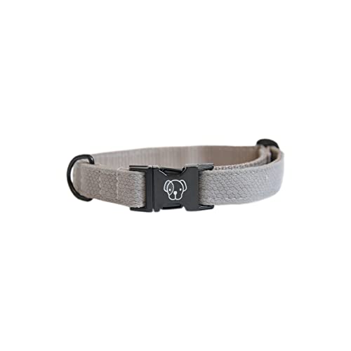 Kentucky Dogwear Hundehalsband mit Tiermuster, Größe:M(36-52cm), Farbe:Eidechse beige von Kentucky