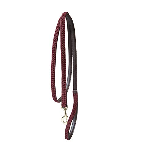 Kentucky Dogwear - Hundeleine - Geflochtenes Nylon - Bordeaux - 120cm von Kentucky