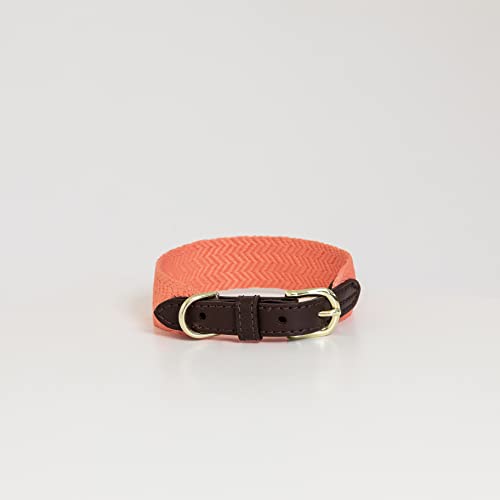 Kentucky Dogwear - Jacquard Hundehalsband - Neon Orange - Größe L - 62cm von Kentucky