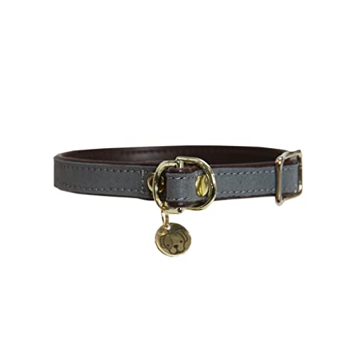 Kentucky Dogwear Loop Hundehalsband, Größe:M, Farbe:grau von Kentucky