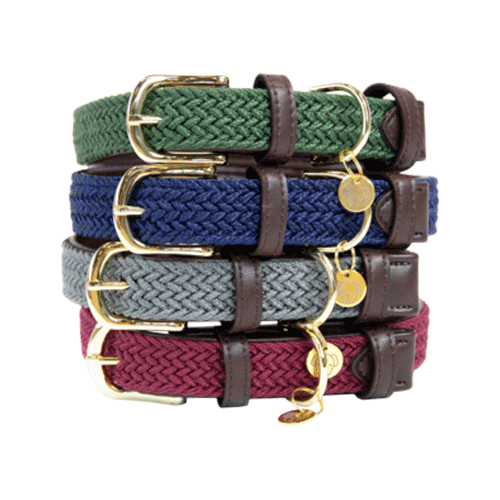 Kentucky Dogwear - Nylon - Geflochten - M - Olive Grün - 50 cm Kentucky Dogwear - Nylon - Geflochten - M - Olive Grün - 50 cm von Kentucky