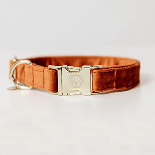 Kentucky Dogwear - Samt Hundehalsband - Orange - Größe M - 36-52cm von Kentucky