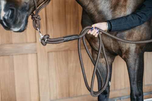 Kentucky - Dyon Trainingsführstrick mit abnehmbarem Karabinerhaken Braun WBD von Kentucky