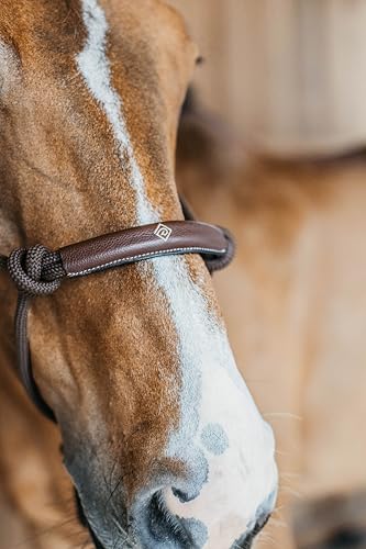 Kentucky - Dyon Trainingshalfter Braun Cob WBD von Kentucky