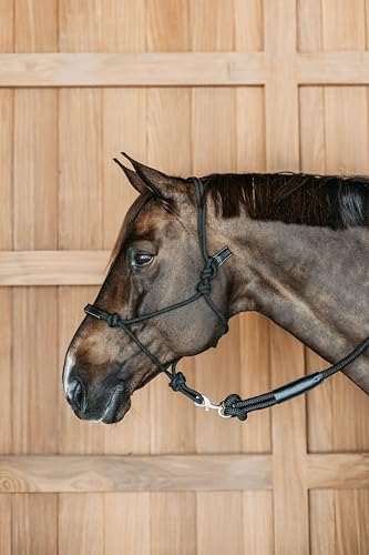 Kentucky - Dyon Trainingshalfter Schwarz Cob WBD von Kentucky