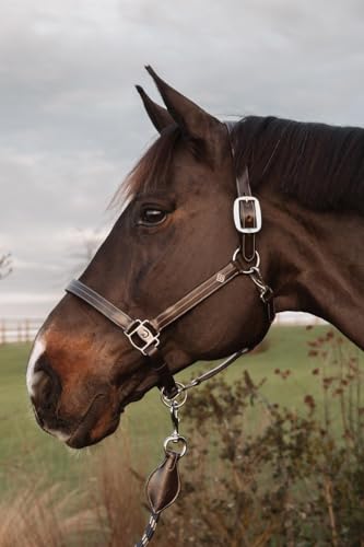 Kentucky - Halfter Pony - Brown - Büffelleder von Kentucky