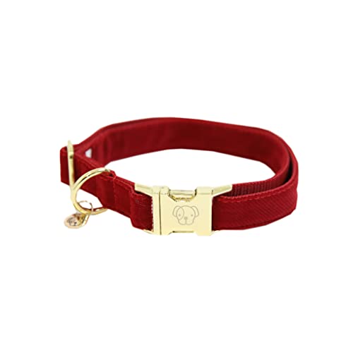 Kentucky Halsband Dog Collar 'Corduroy' - Red, Größe:S von Kentucky