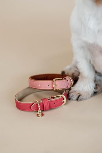 Kentucky Hunde Halsband vegan Leder, Größe:L, Farbe:rot/beige von Kentucky