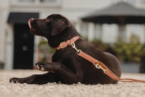 Kentucky - Hundehalsband - Veganes Leder Hundeleine - Pfirsich/Braun - Größe M (50cm) von Kentucky