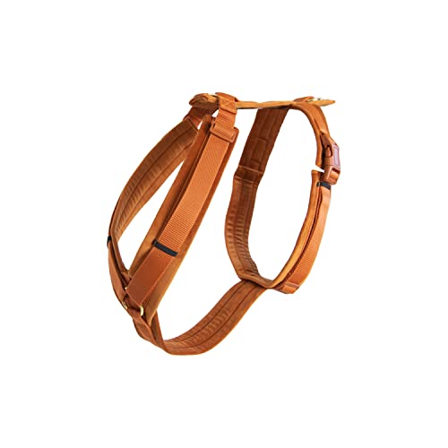 Kentucky Hundegeschirr - Samt Orange - XL - 48-70cm von Kentucky