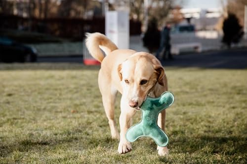 Kentucky - Hundespielzeug Pastell knochen smaragd von Kentucky