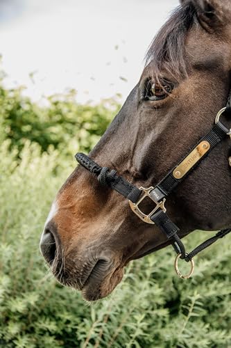 Kentucky - Kontrollhalfter Genickstück schwarz von Kentucky