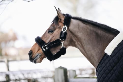 Kentucky - Lammfell Transport Halfter Genickstück schwarz von Kentucky