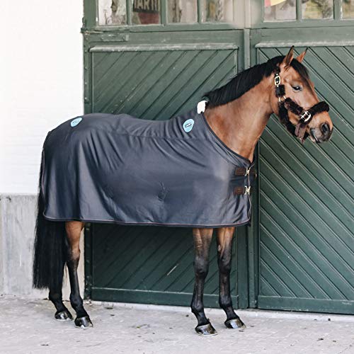 Kentucky Magnetic Rug Recuptex - Navy von VWPEYY