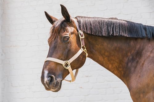 Kentucky - Nylon Halfter Breakaway beige cob von Kentucky