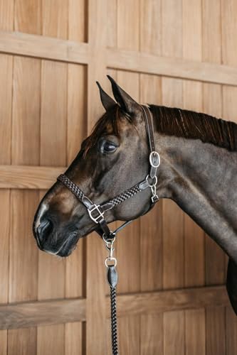 Kentucky - Plaited Halter von Kentucky