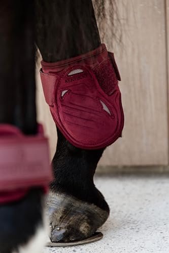 Kentucky - Streichkappe Young Horse Velvet Bordeaux L von Kentucky