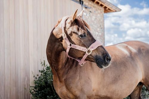 Kentucky - Teddy Fleece Halfter alt rosa Full von Kentucky