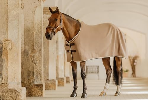 Kentucky - Trockenhemd aus veganer Wolle, Beige, 160-7'0 von Kentucky