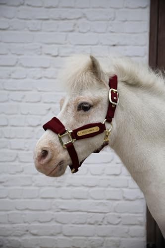 Kentucky - Velvet Halfter Bordeaux Shetland Pony von Kentucky