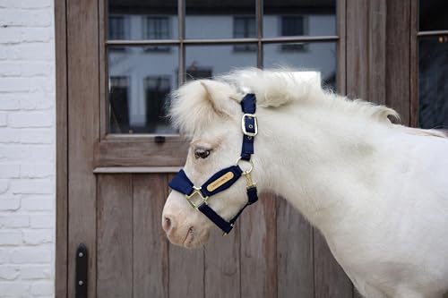 Kentucky - Velvet Halfter Marine Shetland Pony von Kentucky