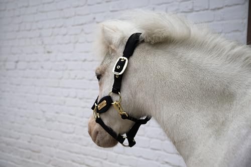 Kentucky - Velvet Halfter schwarz Shetland Pony von Kentucky