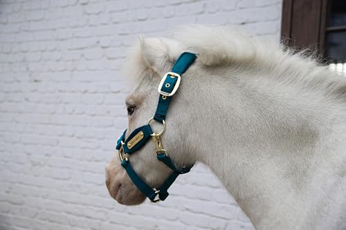 Kentucky - Halfter Mini SHETTY - Emerald - Samt von Kentucky