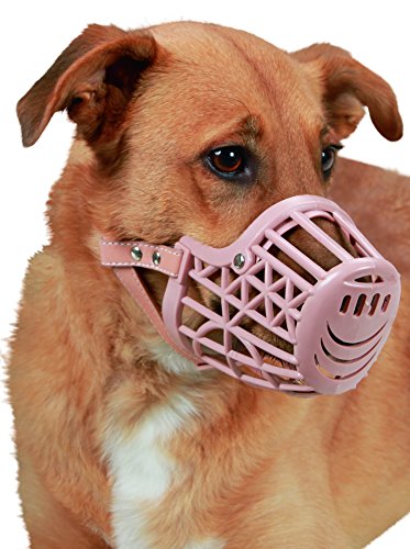 Kerbl Pet Maulkorb Kunststoff Größe 4 U 27cm, Korbtiefe 7cm, braun Kerbl Pet Maulkorb Kunststoff Größe 4 U 27cm, Korbtiefe 7cm, braun von Kerbl Pet
