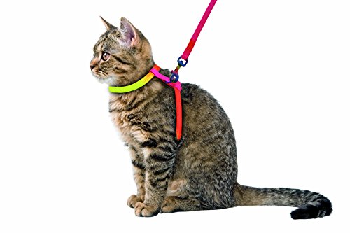 Kerbl Pet 83191 Katzengeschirr Rainbow 10 mm / 120 cm von Kerbl Pet