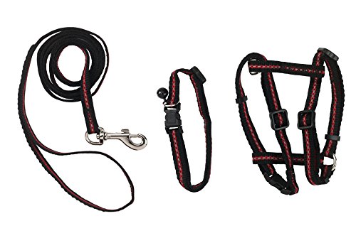 Kerbl Pet 83785 Set aus Halsband, Geschirr und Leine für Katzen reflektierend von Kerbl Pet