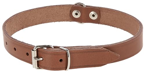 Kerbl Pet Mexica Halsband Taupe 10 mm, 20-23 cm genietet von Kerbl Pet