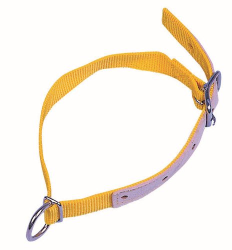 Kerbl Tierhalsband, Halsriemen, Schafhalsband, Gelb, 60 cm, Schaf, spezieller Länge von Kerbl